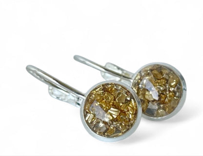 Gold accent leverback closure silver earrings